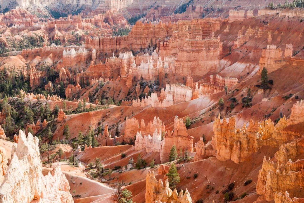 Summers Love Near Zion Np Washington Exterior foto